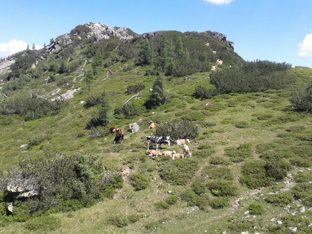 Alpenhotel Marcius Sonnenalpe Nassfeld Dış mekan fotoğraf